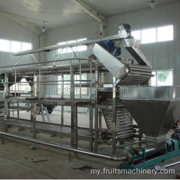 စိတ်ကြိုက်ခရမ်းချဉ်သီး paste processing machine